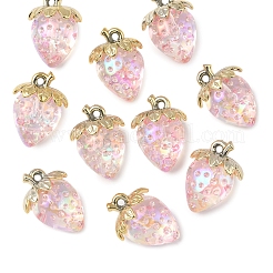 10Pcs Transparent Acrylic Pendants&nbsp;MACR-FS0002-08B