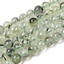 Natural Prehnite Beads Strands&nbsp;G-G457-6mm-03