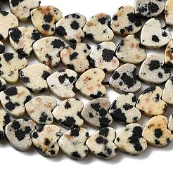 Natural Dalmatian Jasper Beads Strands&nbsp;G-A272-A01-32