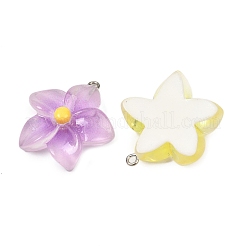 Opaque Resin Pendants&nbsp;RESI-G117-01