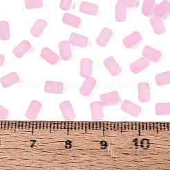 FGB Frosted Transparent Glass Seed Beads&nbsp;SEED-N013-05A-05