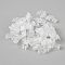 PP Clips, Pump Clamp, Clear, 21x9x8mm