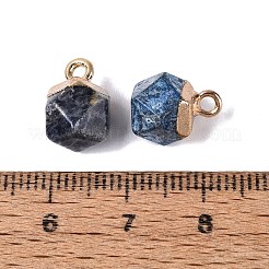 Natural Blue Spot Jasper Pendants&nbsp;G-N359-18G-06