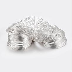 Carbon Steel Memory Wire&nbsp;FIND-S601-0.6x55mm-S