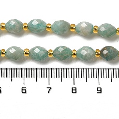 Natural Amazonite Beads Strands&nbsp;G-H297-C07-01