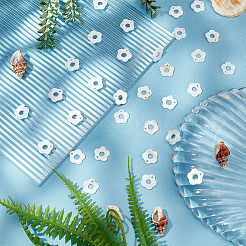 50Pcs Freshwater Shell Charms&nbsp;FIND-AR0002-55