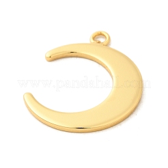 Brass Pendants&nbsp;KK-V011-38G