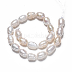Natural Cultured Freshwater Pearl Beads Strands&nbsp;X-PEAR-N012-05D