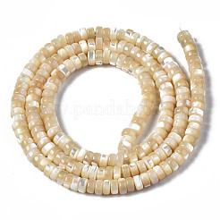Natural Trochid Shell/Trochus Shell Beads Strands&nbsp;SSHEL-S266-019B-01