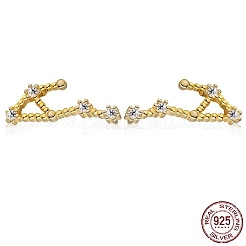Cubic Zirconia Constellation Stud Earrings&nbsp;EJEW-P231-90G-10