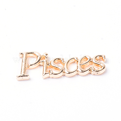 Twelve Constellations Word Zinc Alloy Cabochons&nbsp;DIY-WH0224-36B