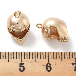 Brass Charms&nbsp;KK-M102-53G