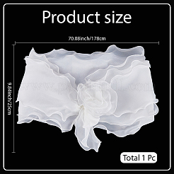 Chiffon Shawl&nbsp;AJEW-WH20054-037A