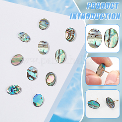 10Pcs Natural Paua Shell Cabochons&nbsp;FIND-BC0005-55