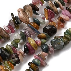 Natural Multicolor Tourmaline Chips Beads Strands&nbsp;F082-01