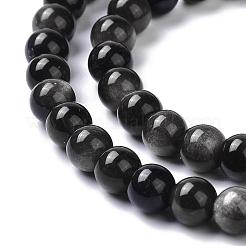 Natural Silver Obsidian Beads Strands&nbsp;G-D083-01D