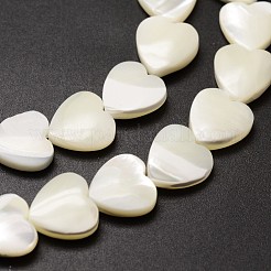 Natural Trochid Shell/Trochus Shell Beads Strands&nbsp;SSHEL-K012-01-A