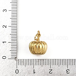 304 Stainless Steel Charms&nbsp;STAS-L296-07G-02