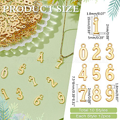 12 Sets Alloy Pendants&nbsp;TIBEP-ME0001-12G