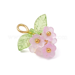 Transparent Acrylic Pendants&nbsp;PALLOY-JF04669