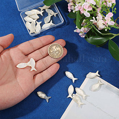20Pcs Natural Shell Pendants&nbsp;SHEL-CO0001-01