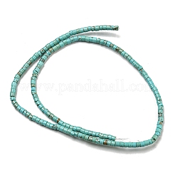 Natural Turquoise Beads Strands&nbsp;G-C084-D10-02