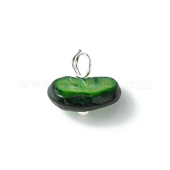 Natural Chip Dyed Shell Charms&nbsp;PALLOY-JF01338-02