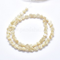 Shell Bead Strands&nbsp;SSHEL-P015-01B-6mm