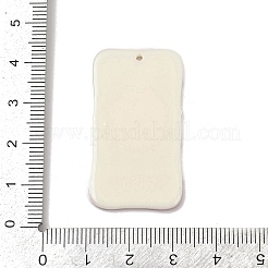 Acrylic Pendants&nbsp;OACR-Q103-03B