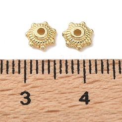 Brass Bead Caps&nbsp;KK-C260-03G