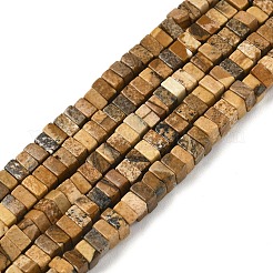 Natural Picture Jasper Beads Strands&nbsp;G-I394-A01