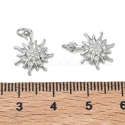 SHEGRACE Brass Clear Cubic Zirconia Pendants&nbsp;XGRQ3K803-534P