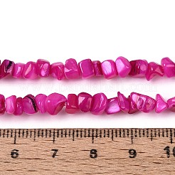 Natural Freshwater Shell Beads Strands&nbsp;SHEL-N037-04E