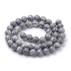 Natural Map Stone/Picasso Stone/Picasso Jasper Beads Strands&nbsp;G-S259-09-6mm