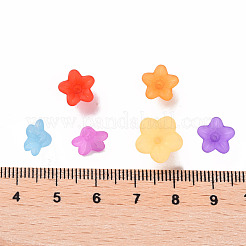 Transparent Acrylic Beads&nbsp;PL554-M