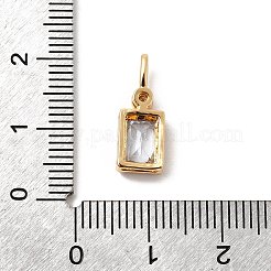 Brass with Cubic Zirconia Pendants&nbsp;KK-F916-10G-03