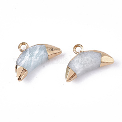 Electroplate Natural Amazonite Charms&nbsp;G-S344-48K