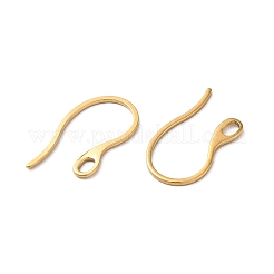 Ion Plating(IP) 304 Stainless Steel Earring Hooks&nbsp;STAS-E192-11G