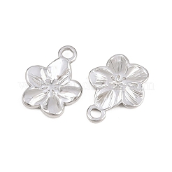 304 Stainless Steel Charms&nbsp;X-STAS-L317-02P