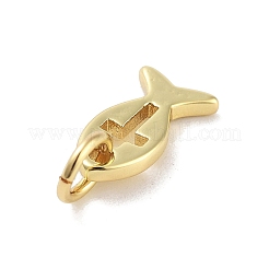Rack Plating Brass Pendants&nbsp;X-KK-M293-03G