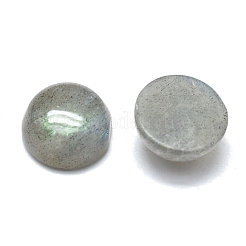 Natural Labradorite Cabochons&nbsp;G-O185-01A-01