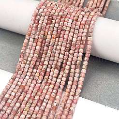Natural Argentina Rhodonite Beads Strands&nbsp;LS-G-Z057-A01-01