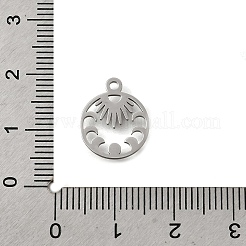 304 Stainless Steel Charms&nbsp;STAS-S178-01P