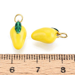 304 Stainless Steel Enamel Pendants&nbsp;STAS-T069-50