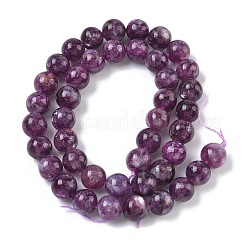 Natural Lepidolite/Purple Mica Stone Beads Strands&nbsp;G-C270-O05-14