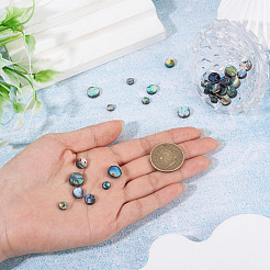 30Pcs 3 Styles Natural Paua Shell Beads&nbsp;BSHE-TA0001-36