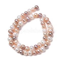 Natural Cultured Freshwater Pearl Beads Strands&nbsp;PA-CBABE82-14