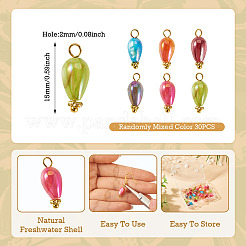 30Pcs Dyed Natural Freshwater Shell Pendants&nbsp;PALLOY-TAC0319