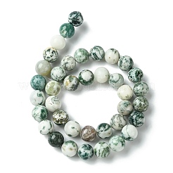 Natural Tree Agate Round Gemstone Beads Strands&nbsp;G-R255-10mm