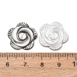 Rose Black Lip Shell Cabochons&nbsp;SSHEL-E553-09